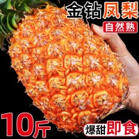海南金鉆鳳梨新鮮水果當(dāng)季應(yīng)季正宗特級(jí)菠蘿手撕10斤大果整箱特產(chǎn)