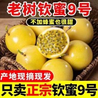 海南黃金百香果 欽蜜九號(hào) 蜂蜜百香果，純甜可空口吃