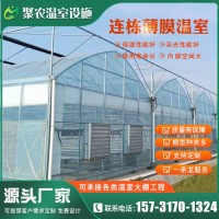 薄膜連棟溫室 連體溫室外遮陽連棟棚溫室大棚工程建設(shè)大棚管廠家