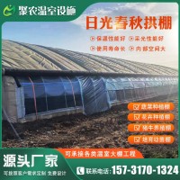 農(nóng)用溫室大棚廠家 農(nóng)業(yè)蔬菜花卉種植棚橢圓管拱棚現(xiàn)貨批量生產(chǎn)