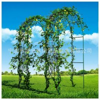 園藝拱形花架支架爬藤架 婚慶氣球門拱門花園陽臺花卉葡萄爬藤架