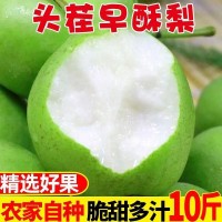 碭山青梨