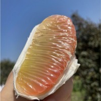 柚子新鮮多汁柚子功夫泰柚新鮮水果進(jìn)口金蜜柚西柚泰國(guó)蜜柚32斤裝