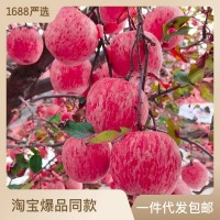 【脆甜多汁】山東煙臺(tái)紅富士蘋果生鮮水果新鮮應(yīng)季脆甜整箱批發(fā)