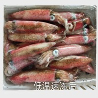 東山小管 活凍魷魚 小魷魚 甜脆爽口 鮮嫩美味 全國包郵