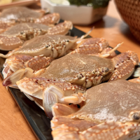 批發(fā)、代發(fā)東山島扁蟹肉蟹梭子蟹鮮活海捕冷凍廠家直供