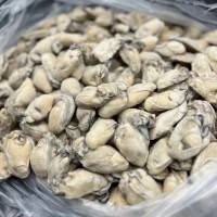 新鮮速凍生蠔海蠣子牡蠣當天現剝生蠔肉 海蠣子肉牡蠣肉去殼海鮮