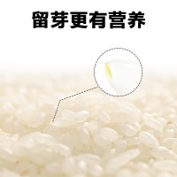 東北老農(nóng) 當(dāng)季稻香2號新米5kg10斤批發(fā)粳米香甜軟糯 真空包裝