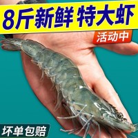 青島大蝦整箱海鮮鮮活速凍超特大冷凍基圍蝦鮮蝦海蝦對蝦青蝦