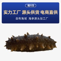 海參工廠大連即食海參鮮食海參遼參海參批發(fā)一件代發(fā)遼刺參非干貨
