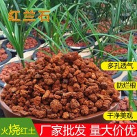 批發(fā)大顆粒蘭花土多肉水族多孔防爛根鋪面造景拌土火燒土紅蘭石