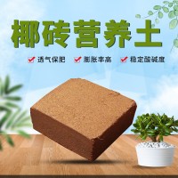 批發(fā)椰糠椰磚種植土 蘭花蔬菜種菜無土培基質(zhì)約5公斤營養(yǎng)土椰土