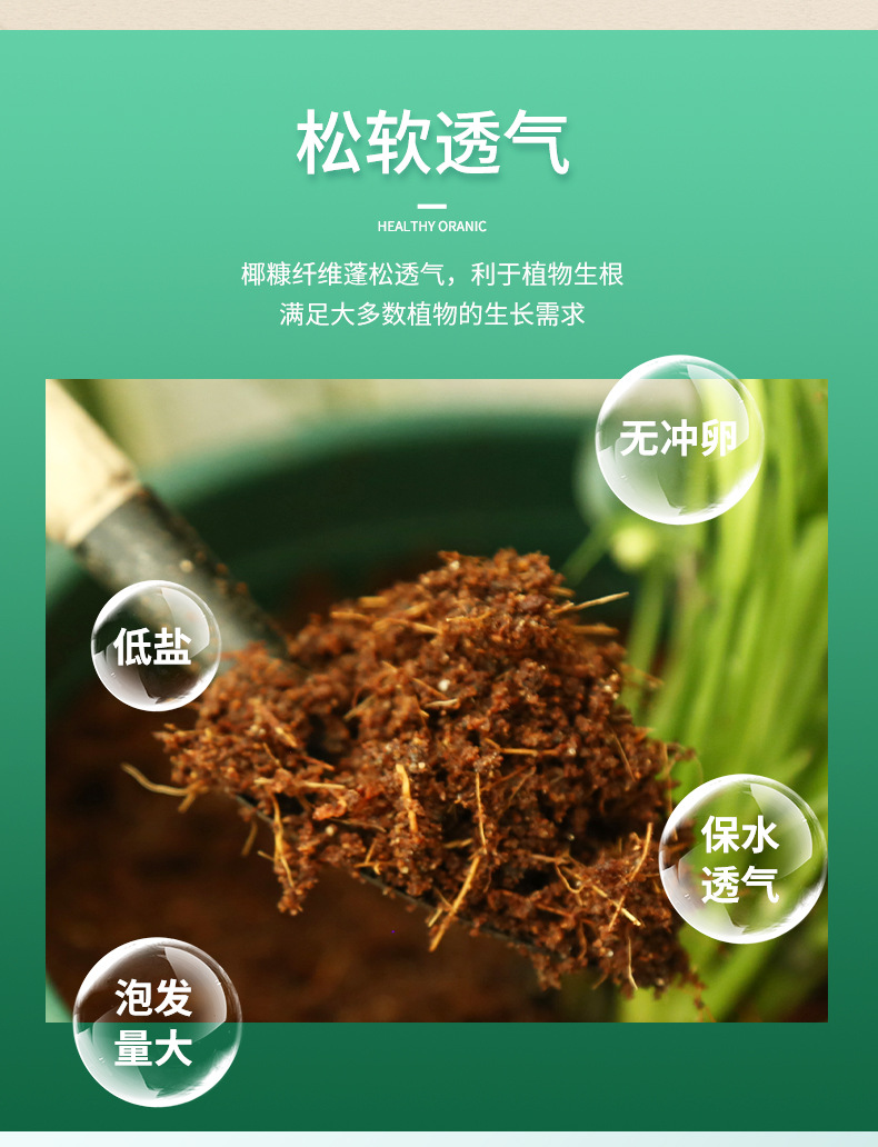 椰磚_05