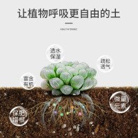 批發(fā)丹麥品氏托普泥炭土草炭土多肉營養(yǎng)土栽培基質(zhì)花卉植物養(yǎng)料