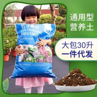 廠家直銷營養(yǎng)土家庭園藝肥料通用型多肉種花種菜綠蘿土種植土花泥