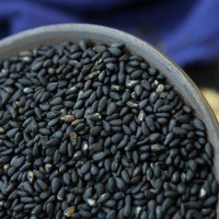 廠家供應(yīng)熟 黑芝麻 五谷雜糧磨粉豆?jié){原料 低溫烘焙 熟黑芝麻