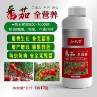 番茄專用藥葉面肥?；ū９倩ù俟虼笾霎a(chǎn)防裂防蟲抗病