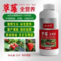 草莓專用藥葉面肥?；ū９麪I(yíng)養(yǎng)肥授粉坐果膨大增甜著色綠葉靚果