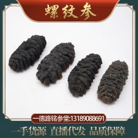批發(fā)深海淡干海參螺紋參水產(chǎn)海味干貨 黑刺參 龍紋參足干高泡發(fā)率