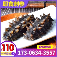 【工廠直供】即食刺參批發(fā)遼刺參500g白里白筋口感緊實(shí)水產(chǎn)品海參