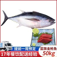 藍(lán)旗金槍魚50kg 整條新鮮刺身藍(lán)旗黃鰭深海魚斯里蘭卡金槍魚批發(fā)