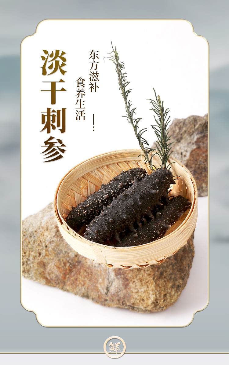 淡干海參_01.jpg
