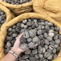 北海特產(chǎn)海參淡干500g海參烏元球參珍珠球參酒店節(jié)日送禮參干批發(fā)