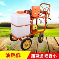 48-60v電動打藥機(jī) 220V小型手推電動農(nóng)用高壓打藥機(jī) 噴霧農(nóng)藥機(jī)