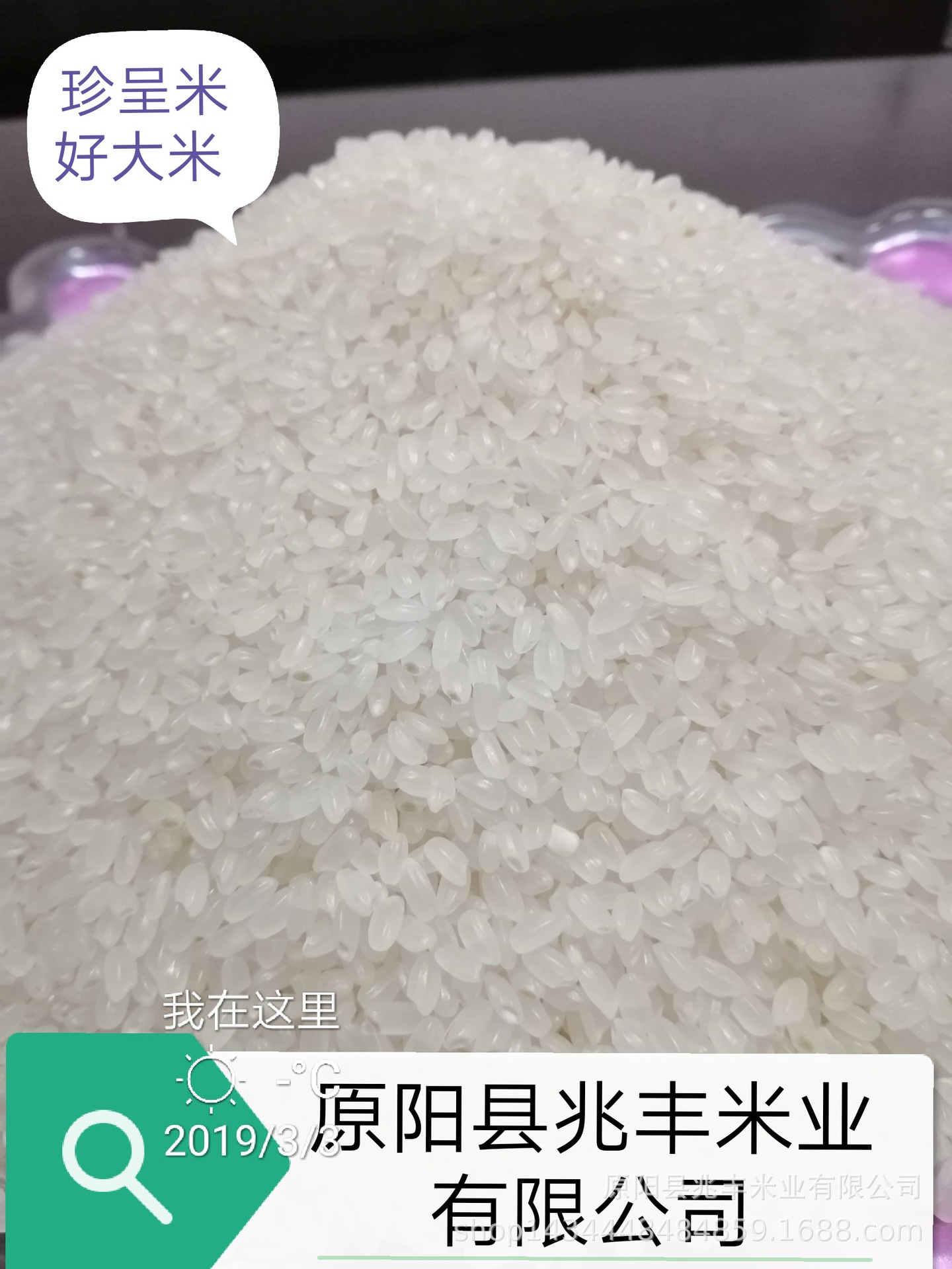 珍呈大米圖片