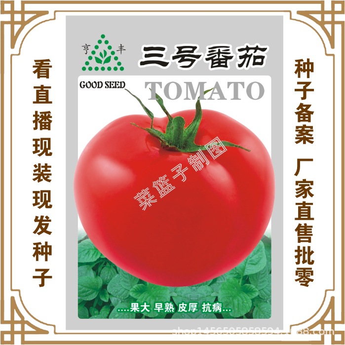 亨豐三號番茄.jpg