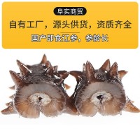 阜實商貿(mào)海鮮批發(fā)直播代發(fā)大連即食海參500g 海參刺參水產(chǎn)干貨工