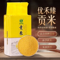 農(nóng)家小米貢米批發(fā) 新季新米金黃锃亮健康米營(yíng)養(yǎng)豐富月子早餐粥