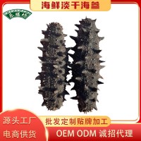 廠家批發(fā)北海淡干海參干貨50g 遼參海參干貨刺參水產(chǎn)中秋海參禮盒