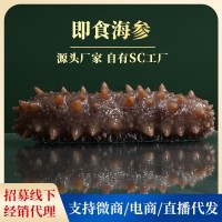 源品堂SC工廠一手貨源現(xiàn)貨批發(fā)大連即食海參 500G 鮮食海參批發(fā)