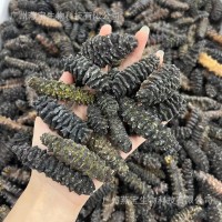 純淡干龍紋參50-60頭野生海參水產(chǎn)干貨散裝批發(fā) 招代理一件代發(fā)