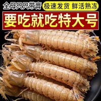 瀨尿蝦鮮活蒸熟速凍皮皮蝦熟凍姑富貴蝦特大爬子舟山懶海鮮水產(chǎn)