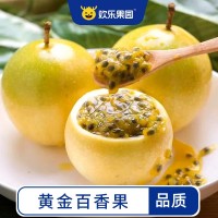 黃金百香果福建2/3斤欽蜜9號新鮮水果黃皮原漿百香果醬現(xiàn)摘包郵