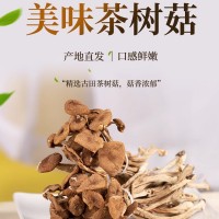 茶樹(shù)菇不開(kāi)傘干貨樹(shù)菇燉湯爆炒菌菇福建古田茶樹(shù)菇家用袋裝茶樹(shù)菇