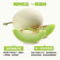 網(wǎng)紅冰淇淋玉菇甜瓜新鮮當(dāng)季水果白皮綠肉香甜玉茹蜜小香瓜包郵