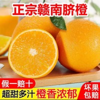 正宗贛南臍橙江西橙子產(chǎn)地直發(fā)新鮮爆汁高山應(yīng)季新鮮時(shí)令孕婦甜橙