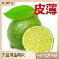 青檸檬當(dāng)季新鮮水果泰國(guó)引種獨(dú)立包裝無(wú)籽青檸奶茶店直供一 件代發(fā)