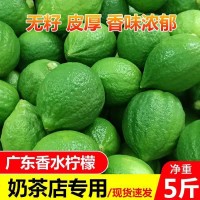 廣東香水檸檬無(wú)籽一級(jí)果產(chǎn)地直發(fā)新鮮水果奶茶店專用整箱批發(fā)