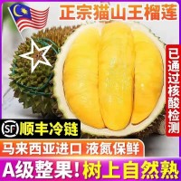馬來西亞D197貓山王榴蓮 原箱進口A果當(dāng)季榴蓮整箱批發(fā)