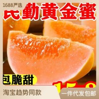 哈密瓜【脆甜】甘肅民勤黃金蜜新鮮應季水果紅肉甜瓜香瓜整箱批發(fā)