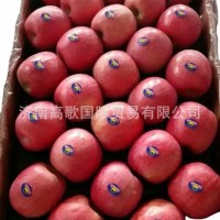 工廠常年供應(yīng)富士蘋果 apple ，粉紅女士蘋果，質(zhì)量保證