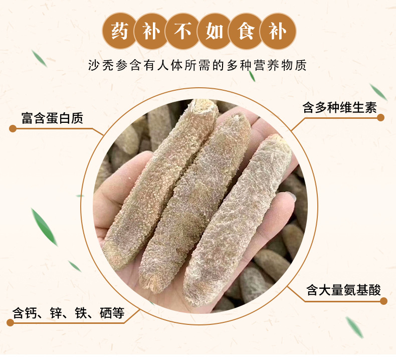 沙禿參詳情_04