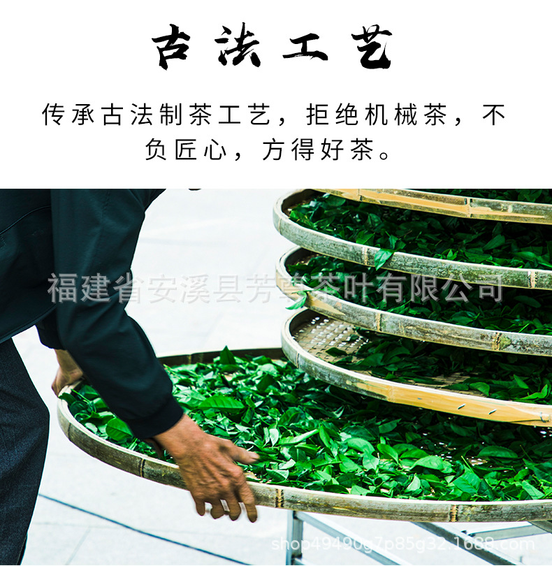 芳尊鐵觀音_06.jpg