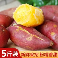 紅薯正宗臨安天目山小香薯10斤農(nóng)產(chǎn)品一件代發(fā)蜜薯紫薯地瓜番薯