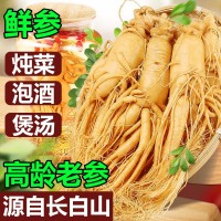 【保鮮人參】長白山人參 廠家直銷 東北特產 新鮮人參 泡酒參批發(fā)