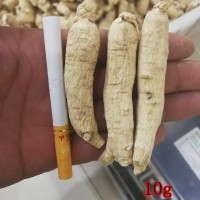 西洋參條東北長(zhǎng)白山整枝花旗參個(gè) 一手貨源實(shí)體店鋪各種規(guī)格齊全